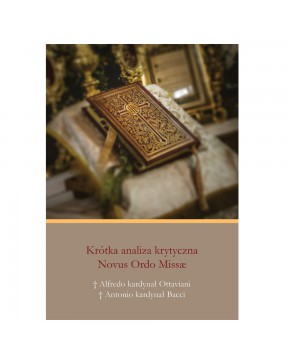 Krótka Analiza Krytyczna...